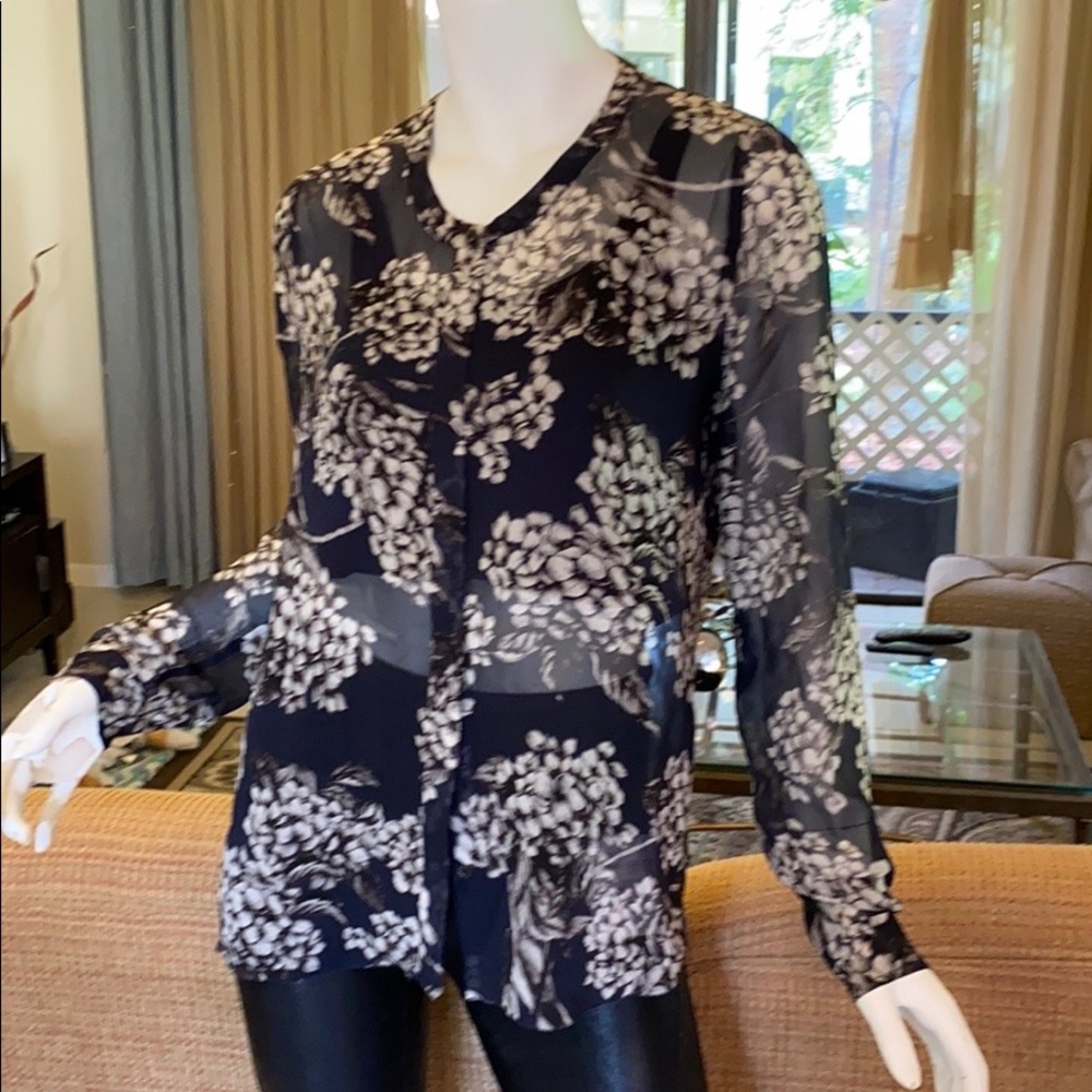 Aritzia sheer chiffon button down Blouse